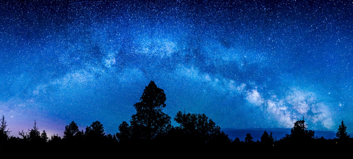 twilight Milky Wat above forest skyline.