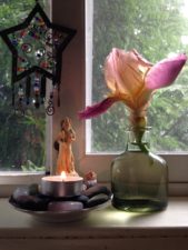 An iris in a small vase on a kitchen windowsill.